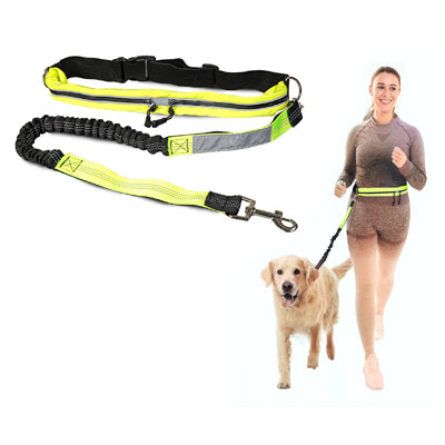 Dog Lead Fitness Belt