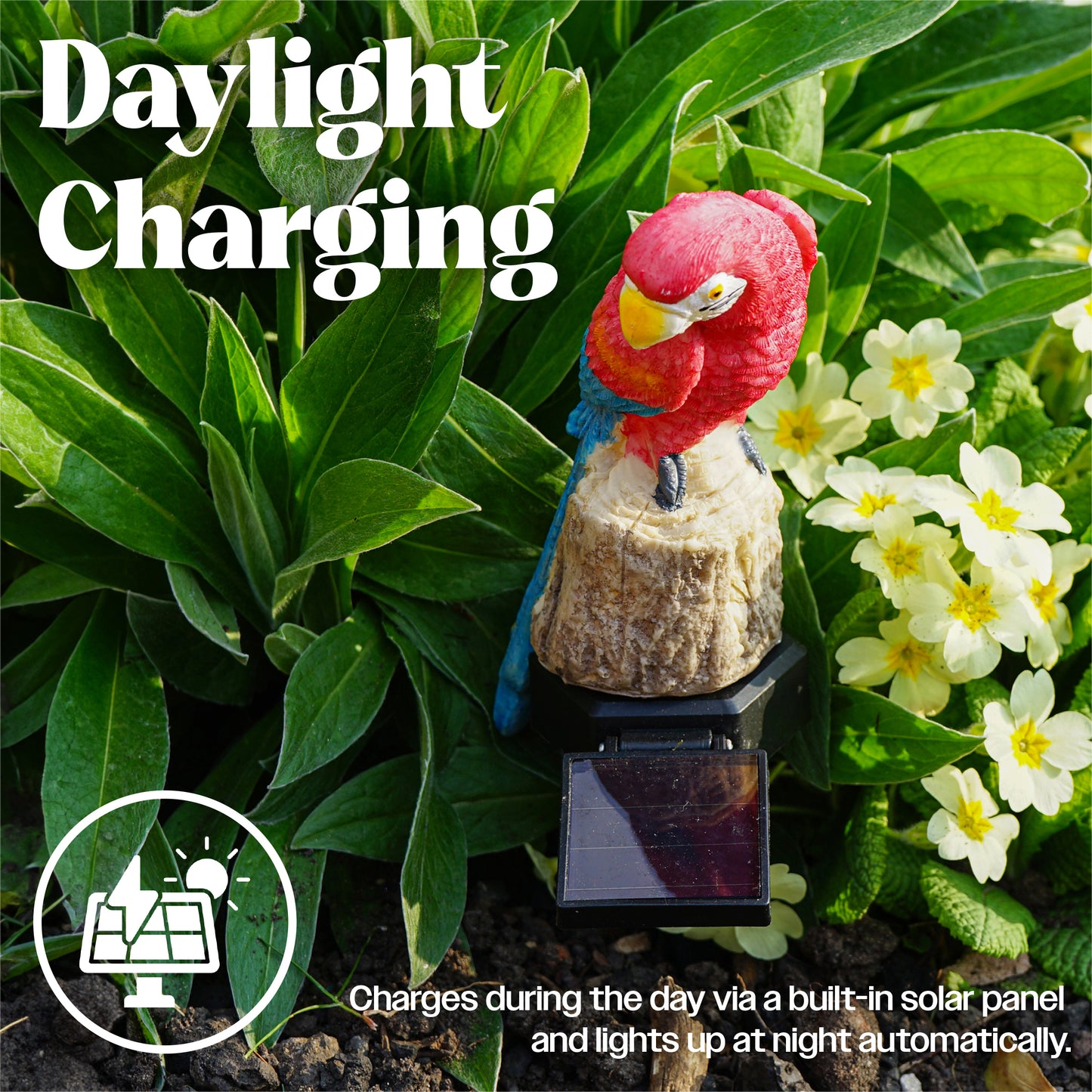 LED Solar Powered Multi Coloured Parrot Stake Light