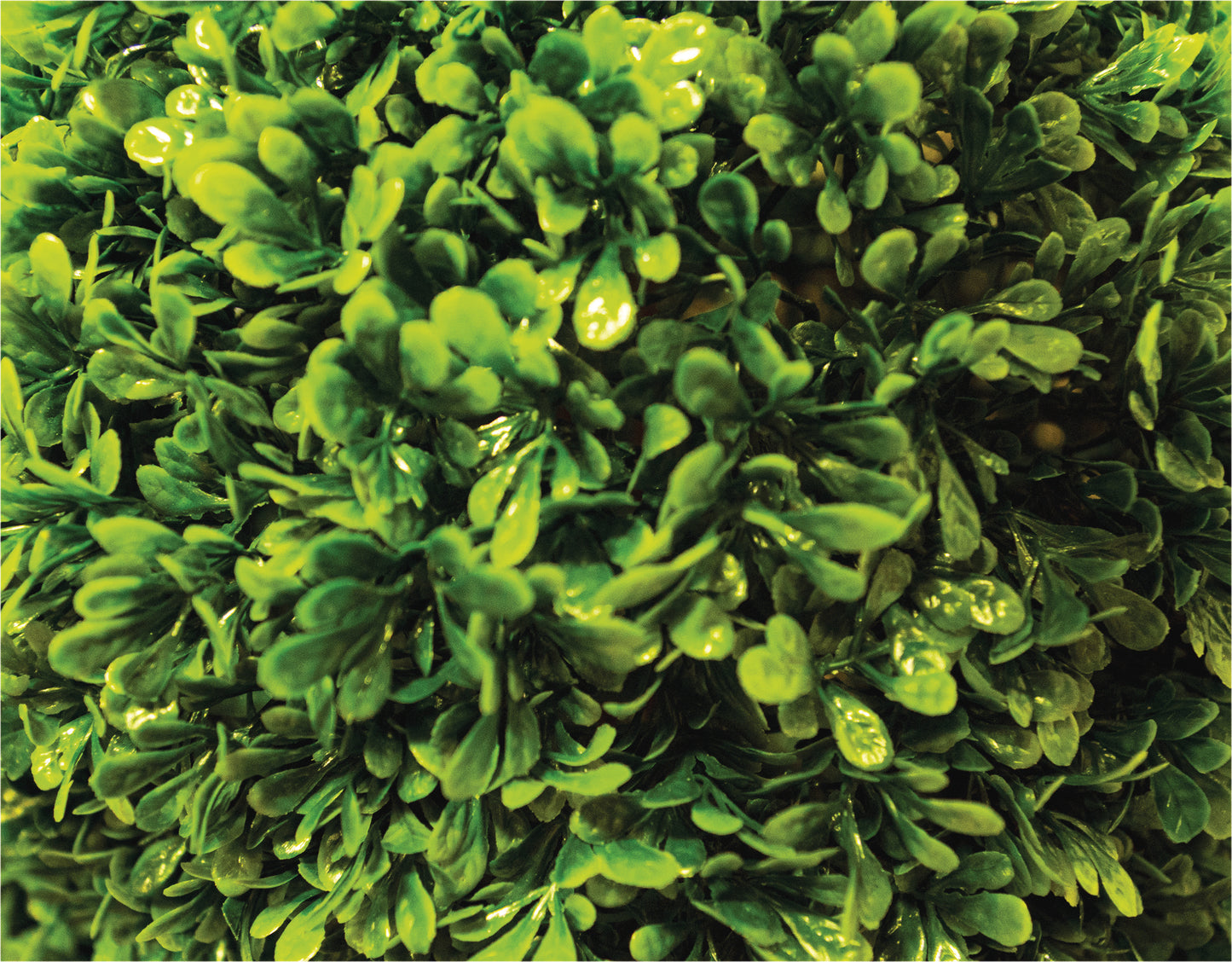 Artificial Topiary Tree 90cm - Pack of 2