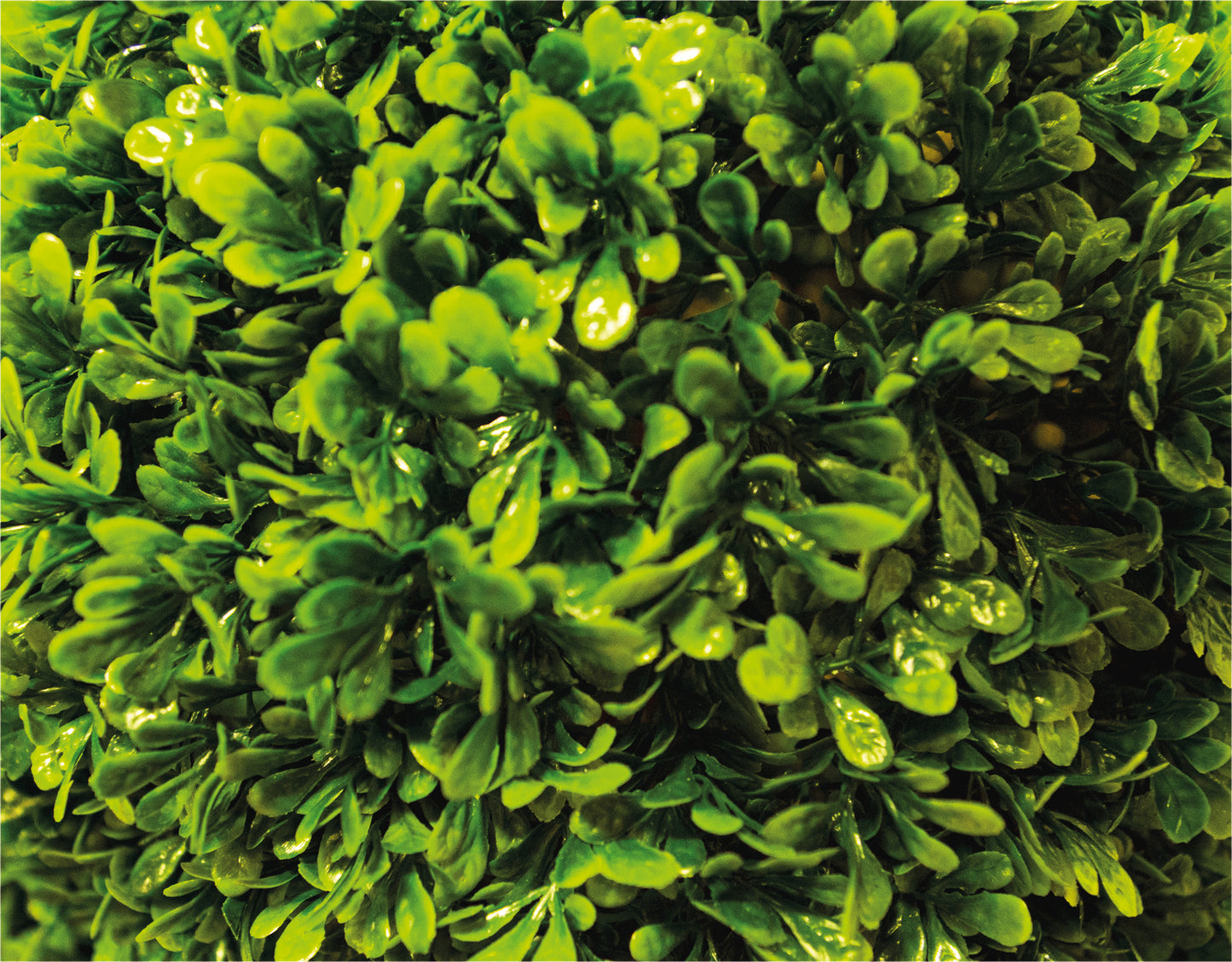 Artificial Topiary Triple Ball Tree 120cm - Pack of 2