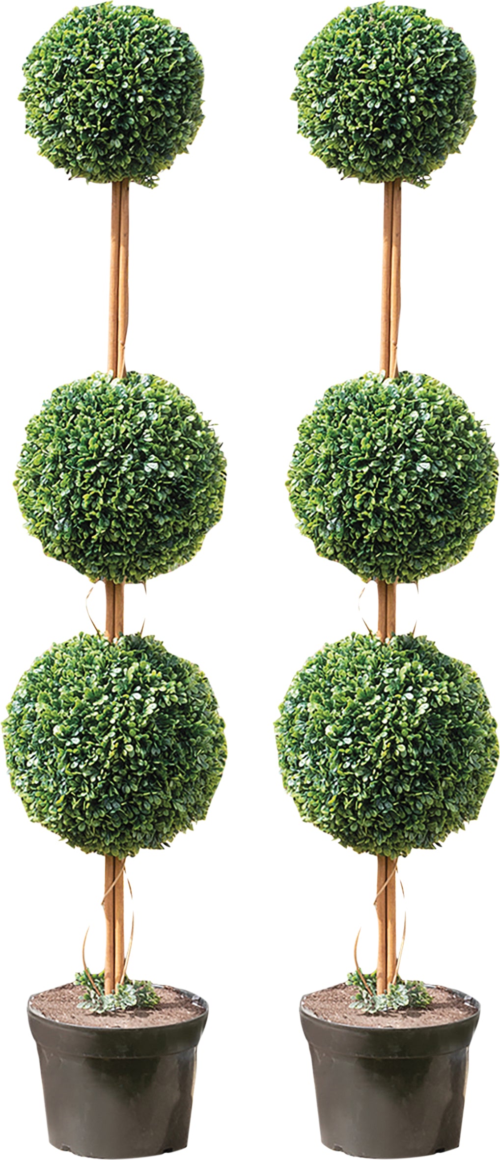Artificial Topiary Triple Ball Tree 120cm - Pack of 2