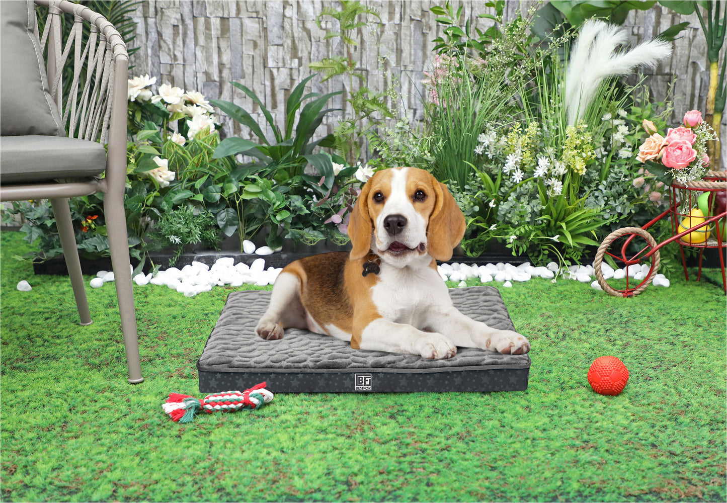 Pet Bed with Egg Crate Bamboo, Medium - Charcoal