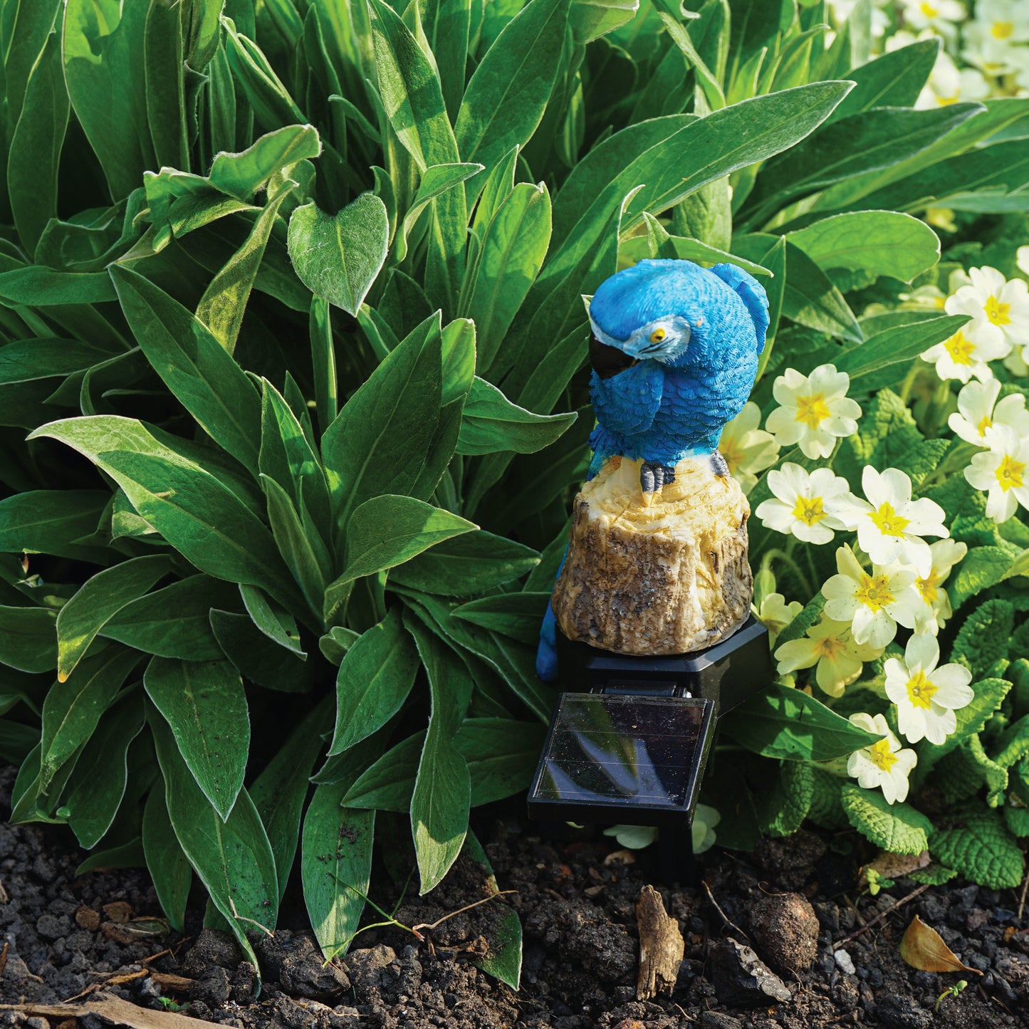 LED Solar Powered Blue Parrot Garden Stake Light