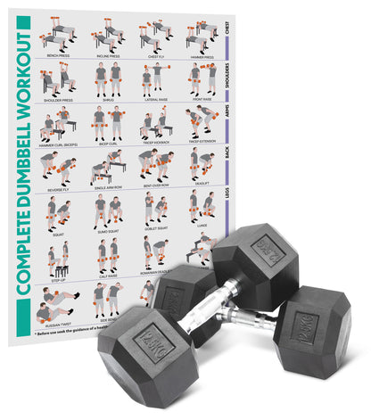 Hex Dumbbell Set - 12.5kgs