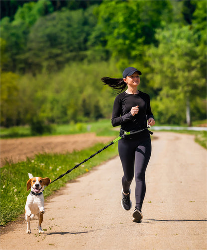 Dog Lead Fitness Belt