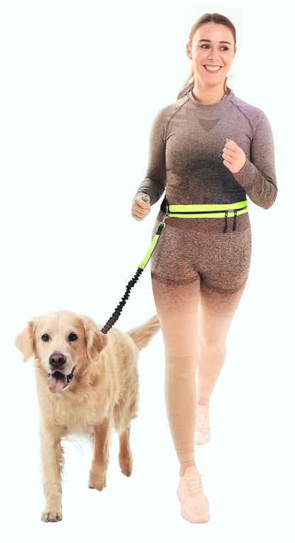 Dog Lead Fitness Belt