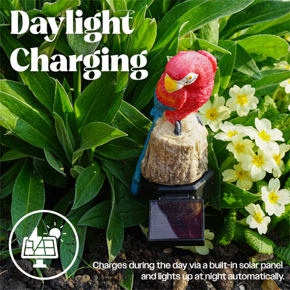 LED Solar Powered Multi Coloured Parrot Stake Light
