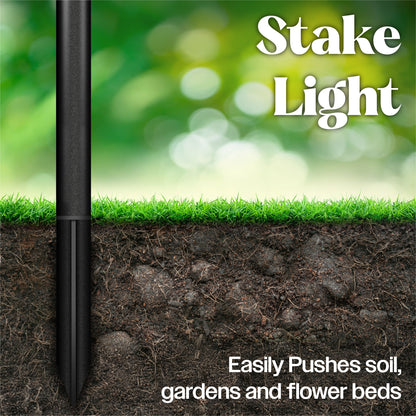 LED Solar Powered Multi Coloured Parrot Stake Light