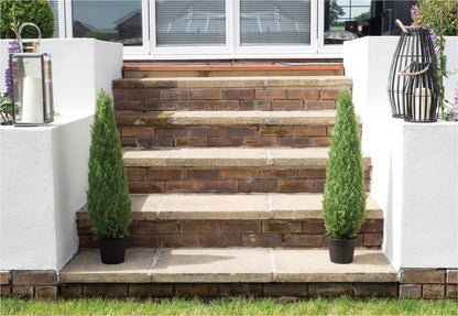Artificial Topiary Tree 90cm