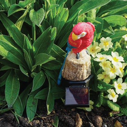 LED Solar Powered Multi Coloured Parrot Stake Light