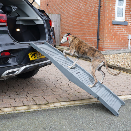 Bestfor Fold Up Dog Ramp