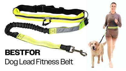 Dog Lead Fitness Belt